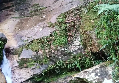 On a Walk to the River - Masturbation and Outdoor Urination
