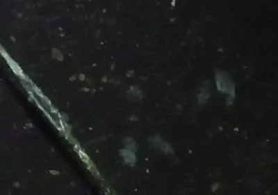 Pissing Time