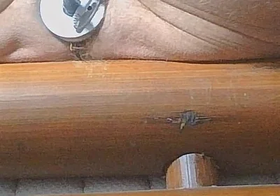 Long Edging