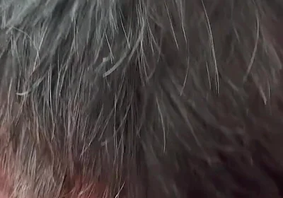 The Secret Intimacy of the Bears 3