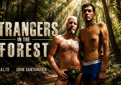 Strangers in the Forest