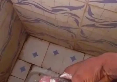 Masturbating Monster Cock in the Bathroom