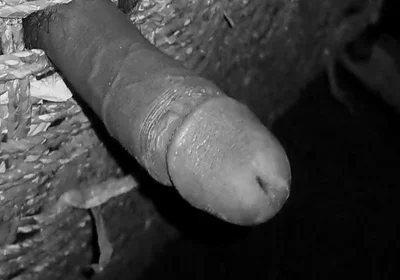 Hot Indian Desi Boy Masturbating in the Night.