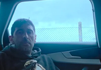 In Public, in the Car