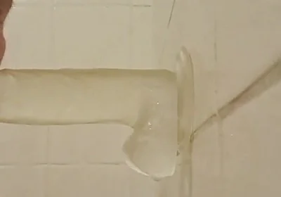 The Duties of a Slut, 1. the Blowjob of Cock