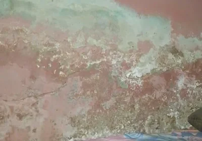 Big Cock Pees and Fucks His Bed Conspicuously