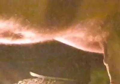 Play with Stepdaddy by the Fire Lemme See Your Hard Boy Cock