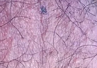 Sexy Twink's Hairy Balls Move All Alone for This Fascinating Gay Porn Video