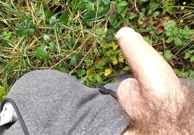 The Horny Stepfather Went on a Hike, When He Took Out His Bonita Cock a Tick Fell on His Cock