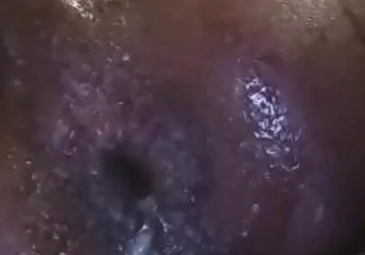 The Bussy