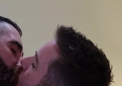 Bears Kissing