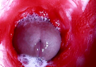Hot Wet Sexy Hole and Sloppy Big Cock