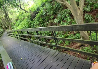 My First Outdoor Sex