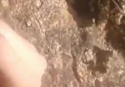 Hot Anal Stimulation with Sunshine and Blue Sky