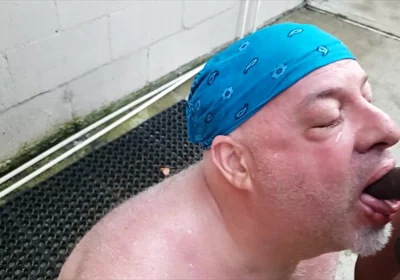 Bear Gets Pissed on by BBC
