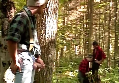 Michel Damours Hunted Hd!
