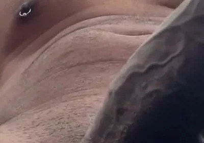 Cock Lovers. POV