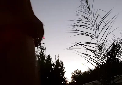 Getting Horny in My Orange Briefs and Jerking off with Cumshot on My Belly